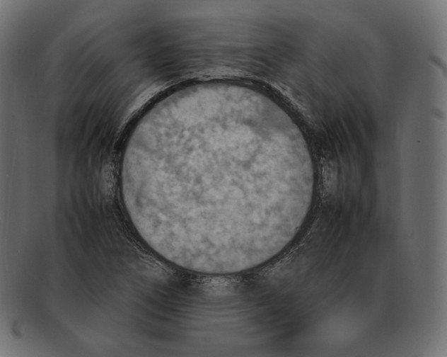 X0000092051266200710101009