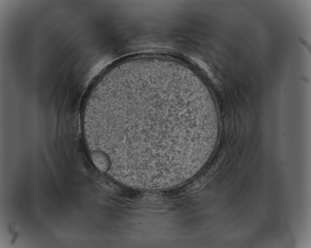 X0000092051267200710101009