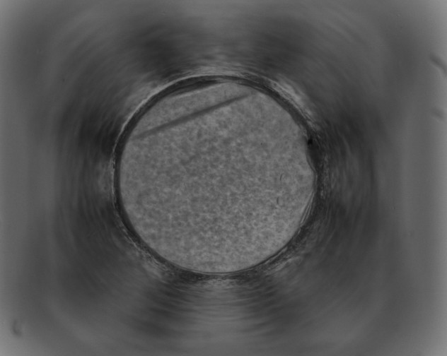 X0000092051268200710101009