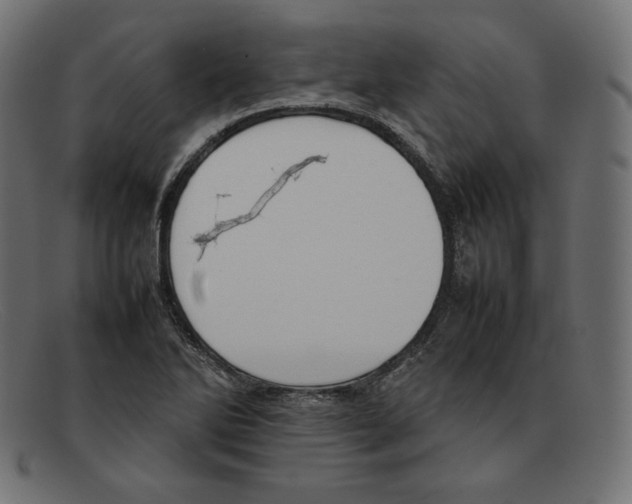 X0000092051270200710101009