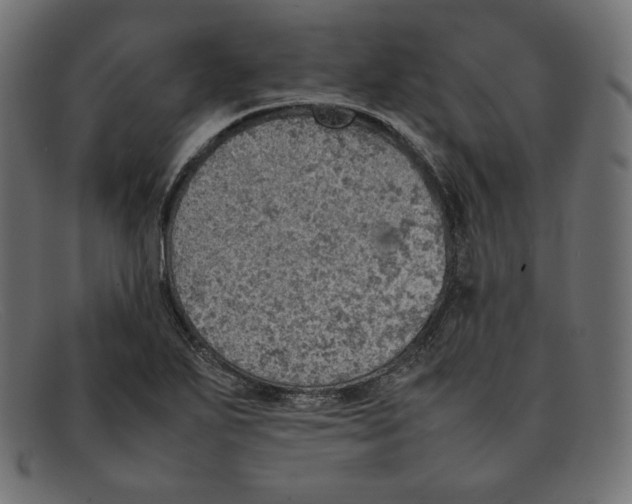 X0000092051271200710101009