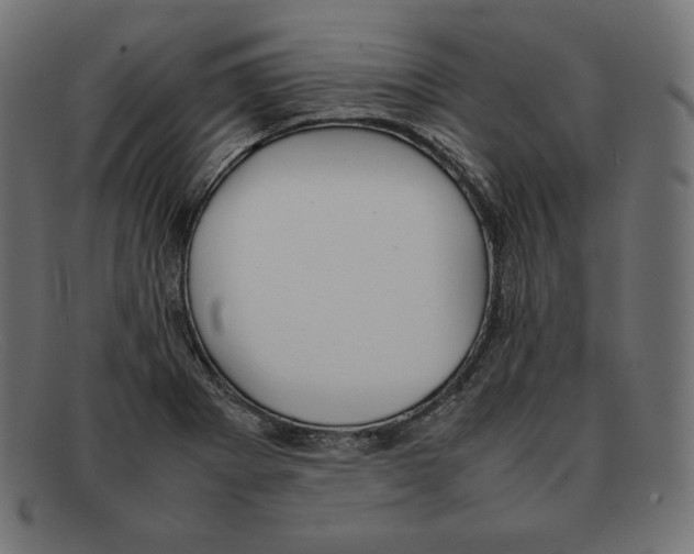 X0000092051273200710101009