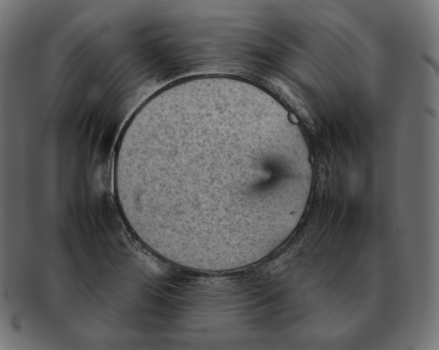 X0000092051276200710101009