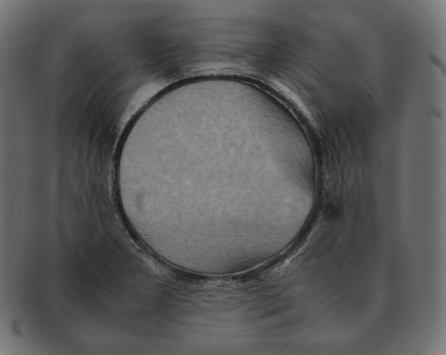 X0000092051277200710101009