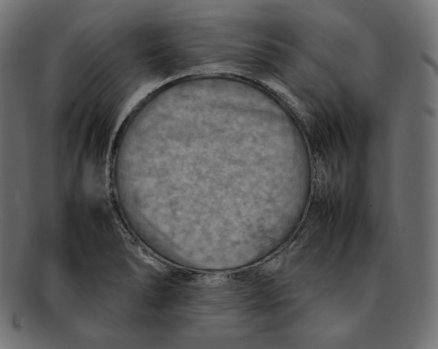 X0000092051278200710101009