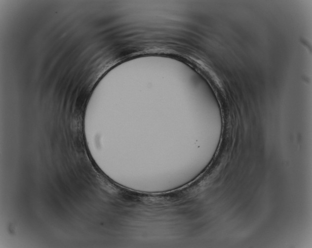 X0000092051281200710101009