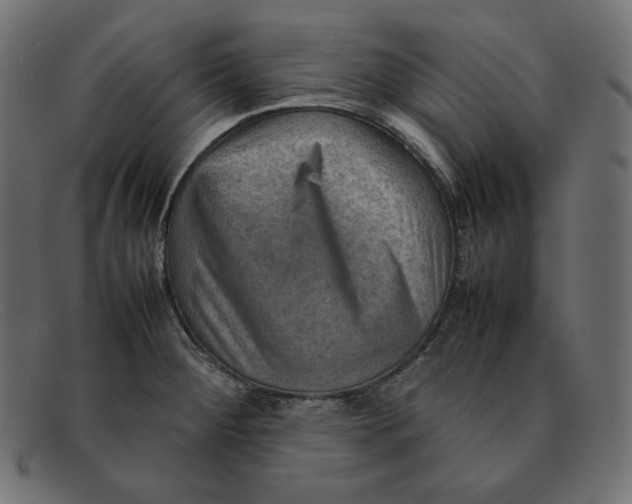 X0000092051284200710101009