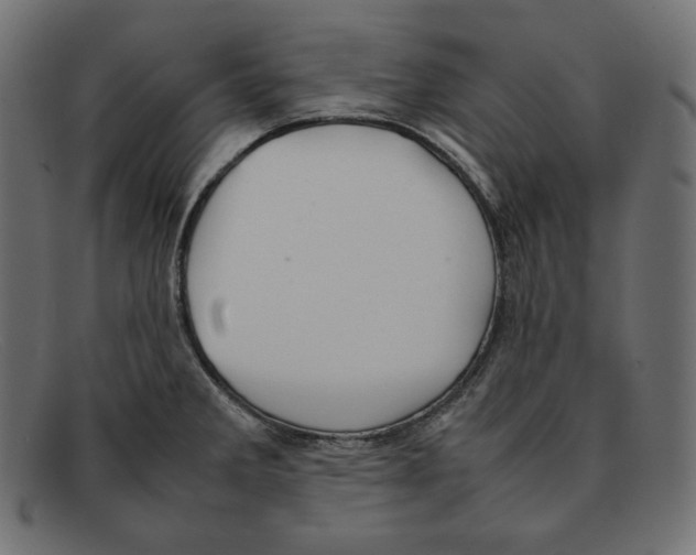 X0000092051285200710101009