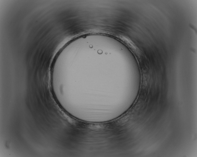 X0000092051286200710101009