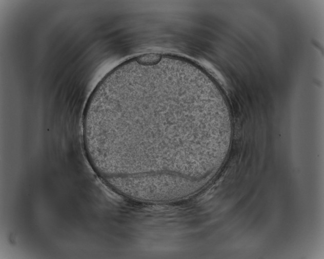 X0000092051287200710101009