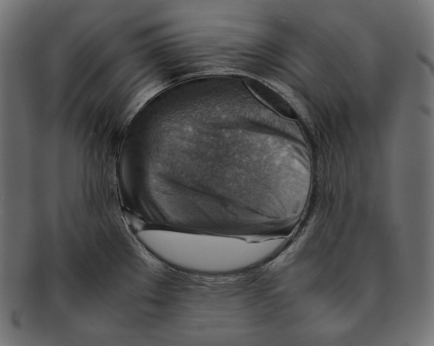 X0000092051289200710101009