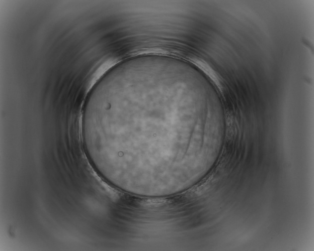 X0000092051290200710101009