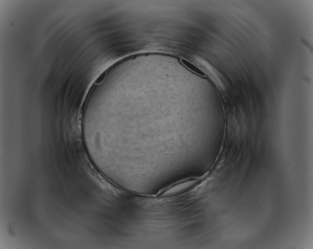 X0000092051292200710101009