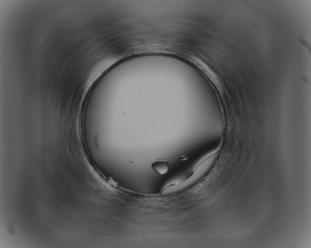 X0000092051293200710101009