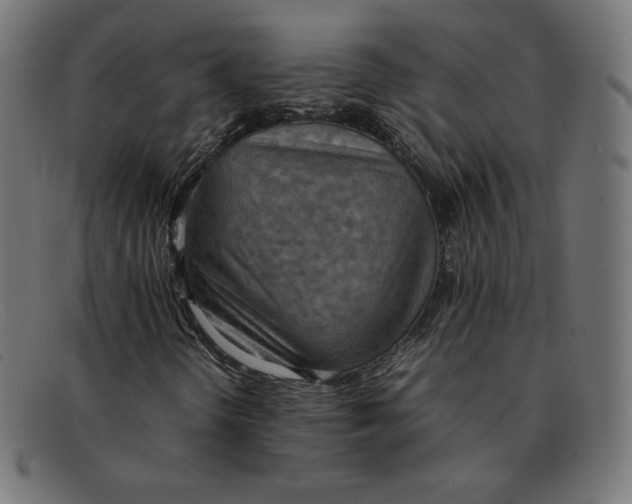 X0000092051298200710101008