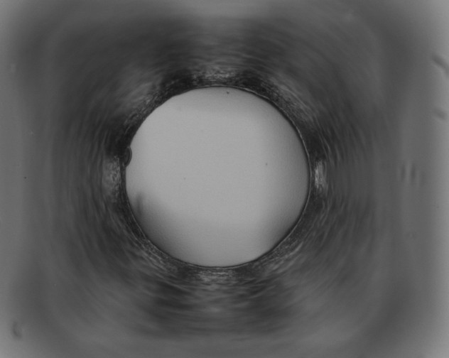 X0000092051299200710101008