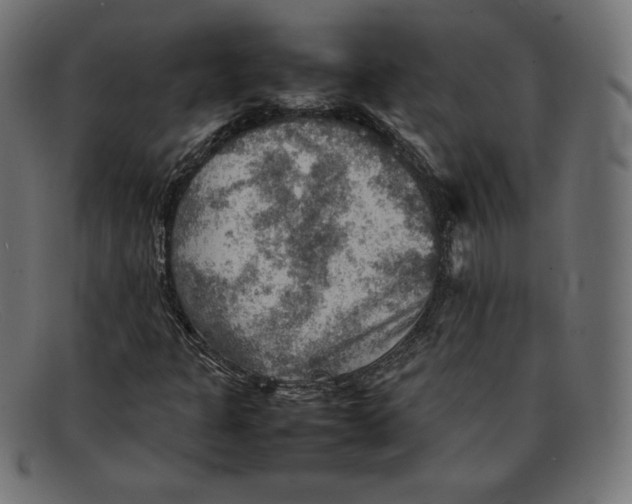 X0000092051301200710101008