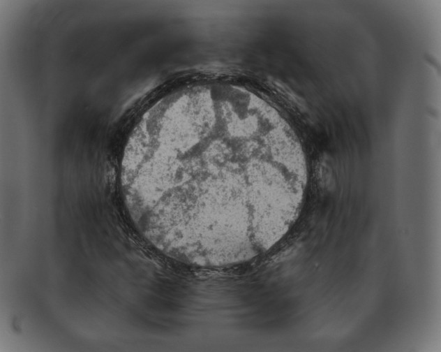 X0000092051302200710101008