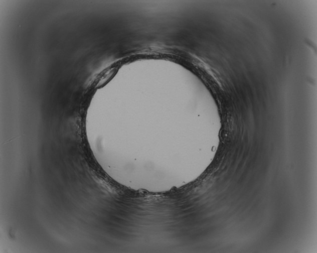 X0000092051304200710101008