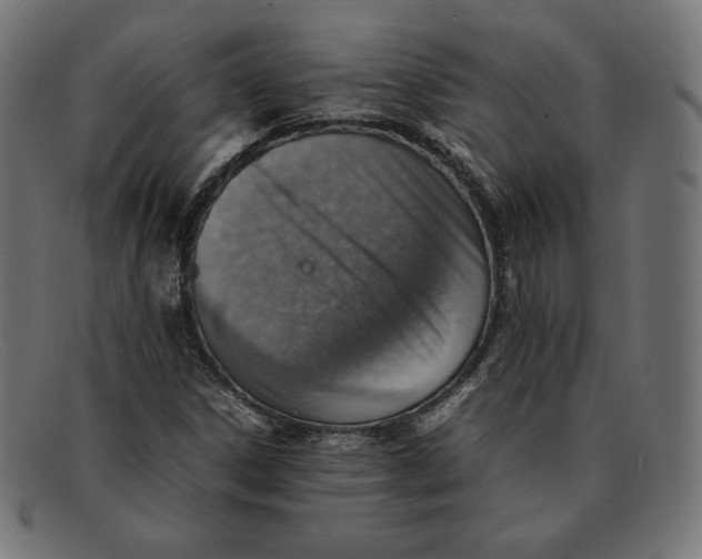 X0000092051306200710101008