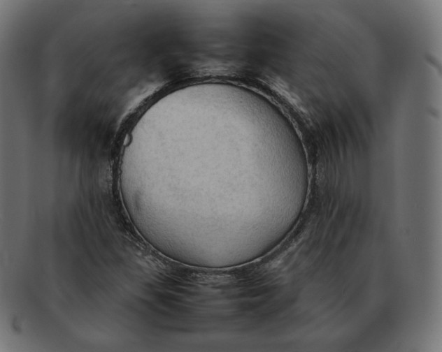 X0000092051309200710101008