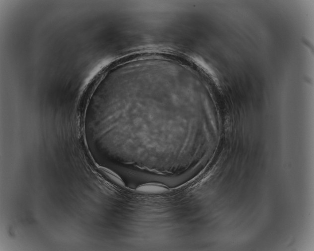 X0000092051310200710101008