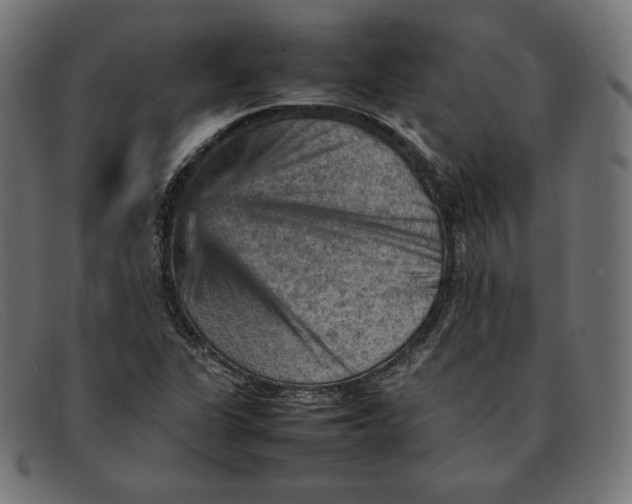 X0000092051311200710101008