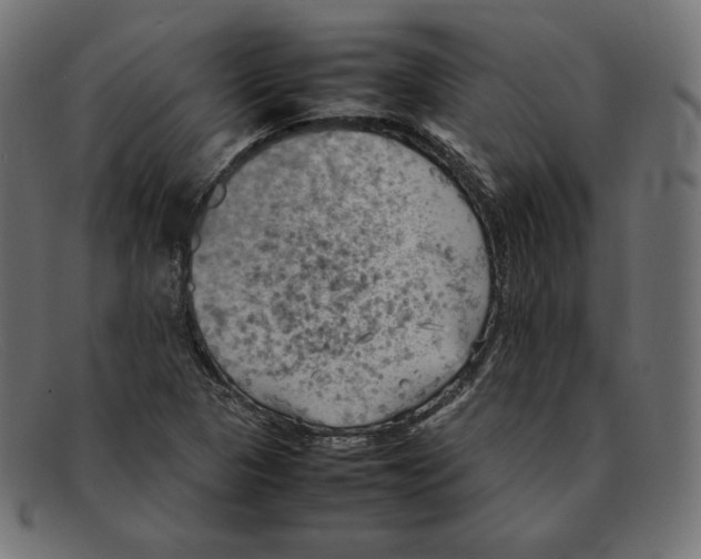 X0000092051313200710101008