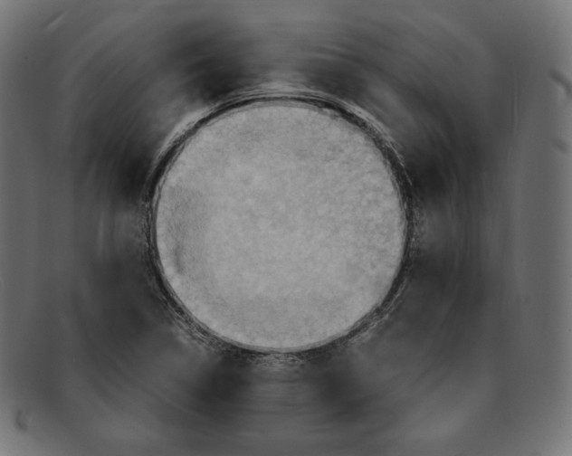 X0000092051314200710101008