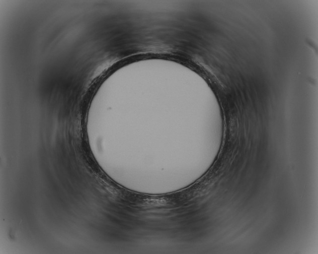 X0000092051315200710101008