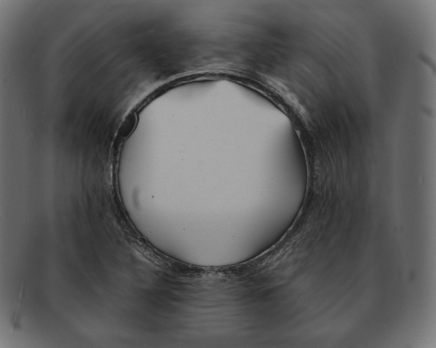 X0000092051316200710101008