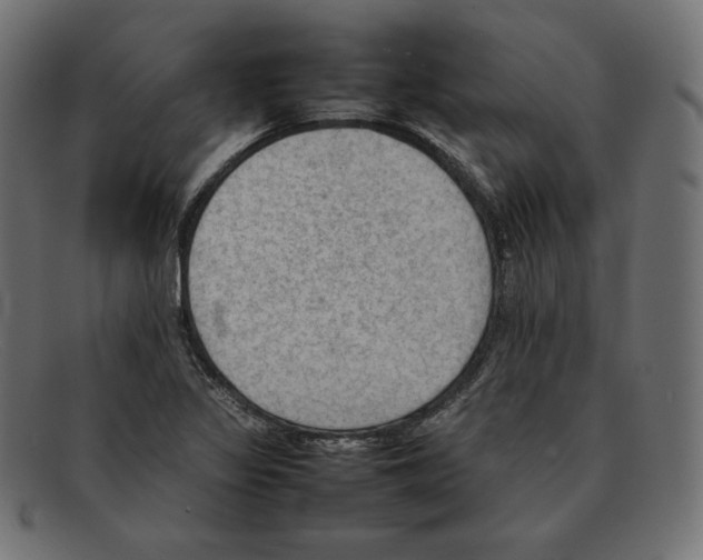 X0000092051317200710101008