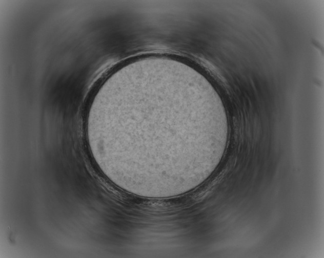 X0000092051318200710101008