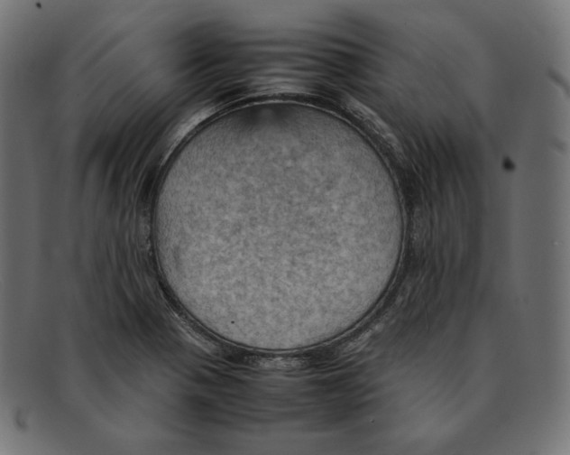 X0000092051321200710101008