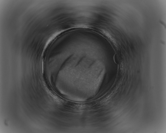 X0000092051323200710101008