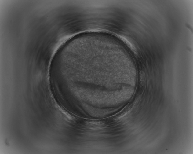 X0000092051327200710101008