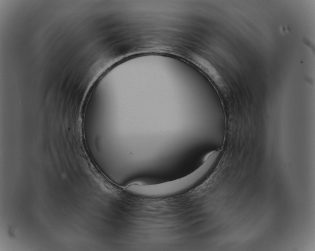 X0000092051332200710101008