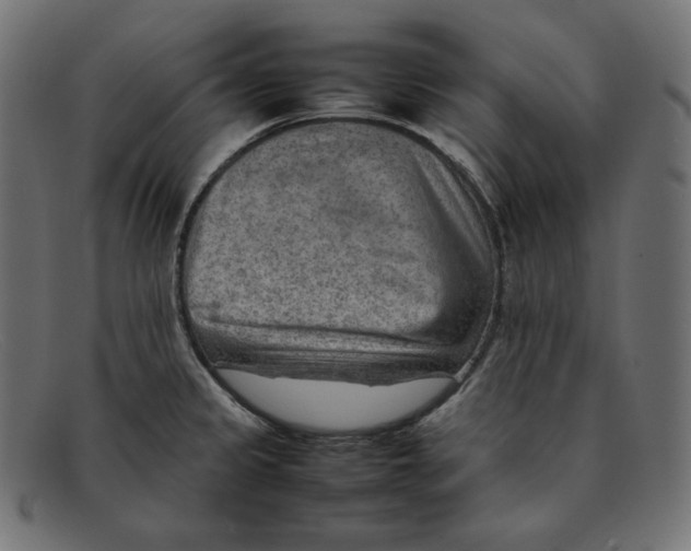 X0000092051333200710101009