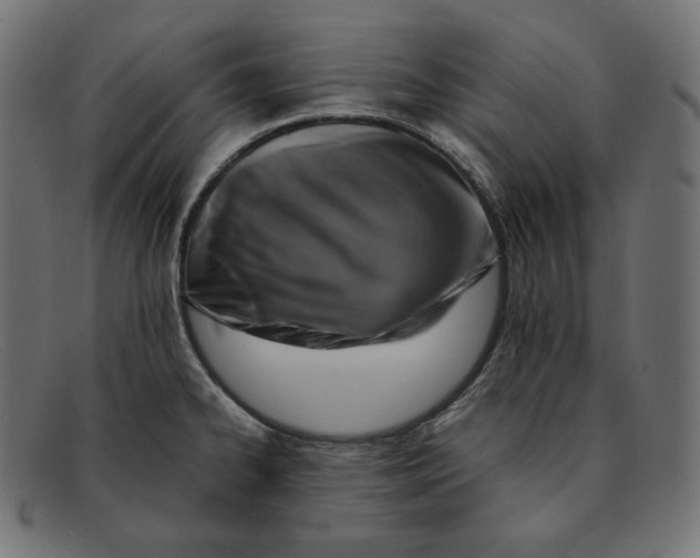 X0000092051334200710101009