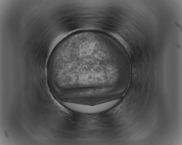 X0000092051335200710101009