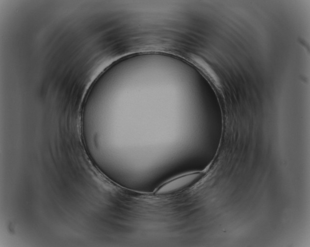 X0000092051340200710101009