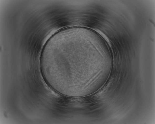 X0000092051341200710101009