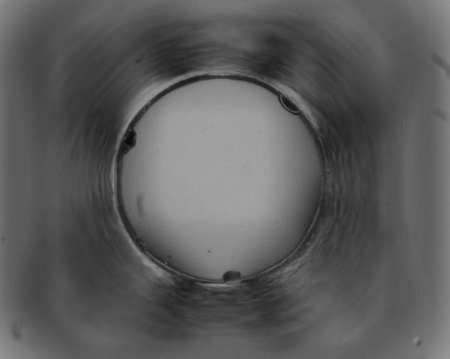 X0000092051343200710101009