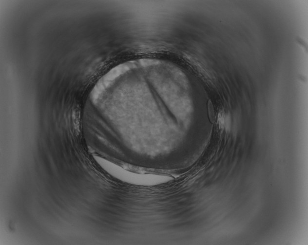 X0000092051348200710101008