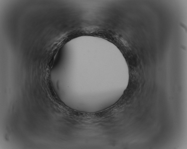 X0000092051349200710101008