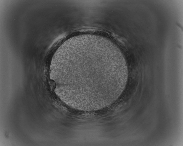 X0000092051351200710101008