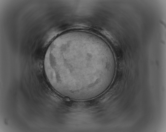 X0000092051355200710101008