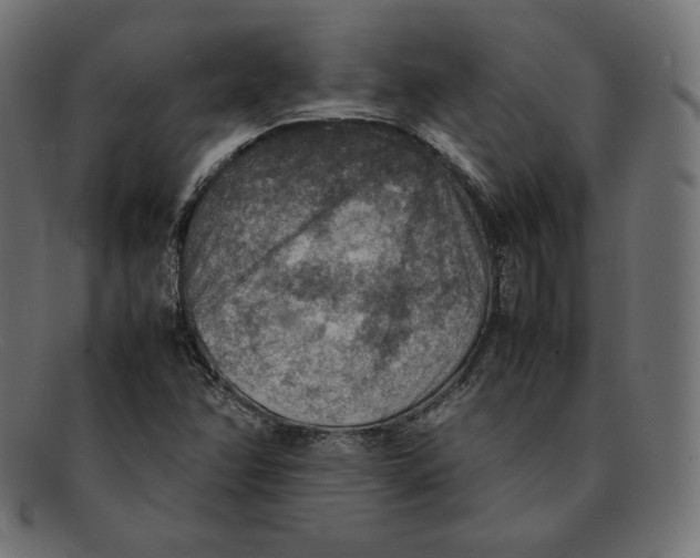 X0000092051358200710101008