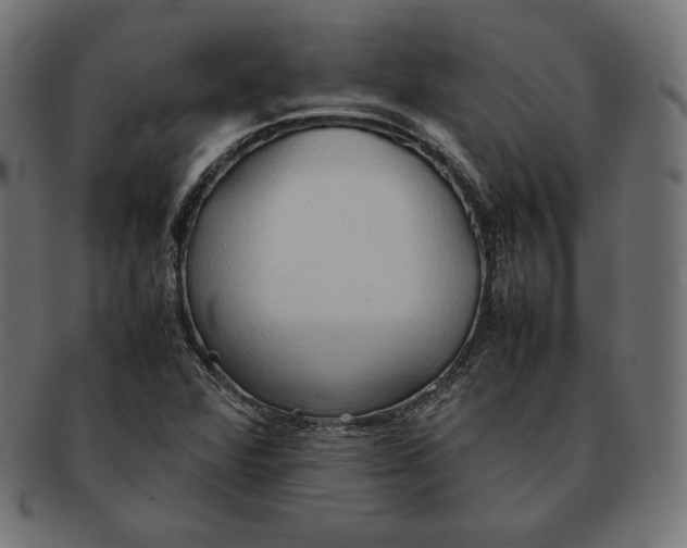 X0000092051360200710101008