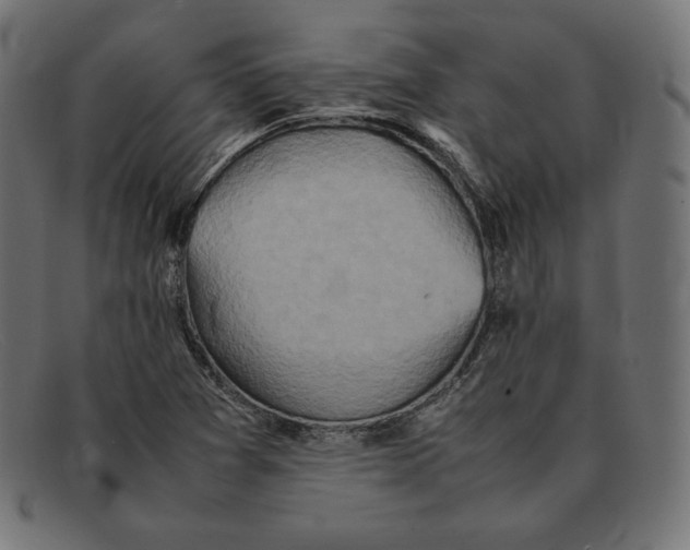 X0000092051361200710101008